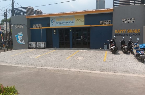 Happy shark swimming school